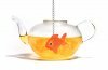 Gold Fish Infuser