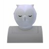Owl Night Light- White