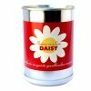 Flowers in a Can- Daisy
